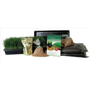Omega 8006 organic wheatgrass growing kit