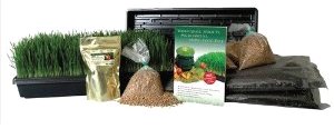 Omega 8006 organic wheatgrass growing kit